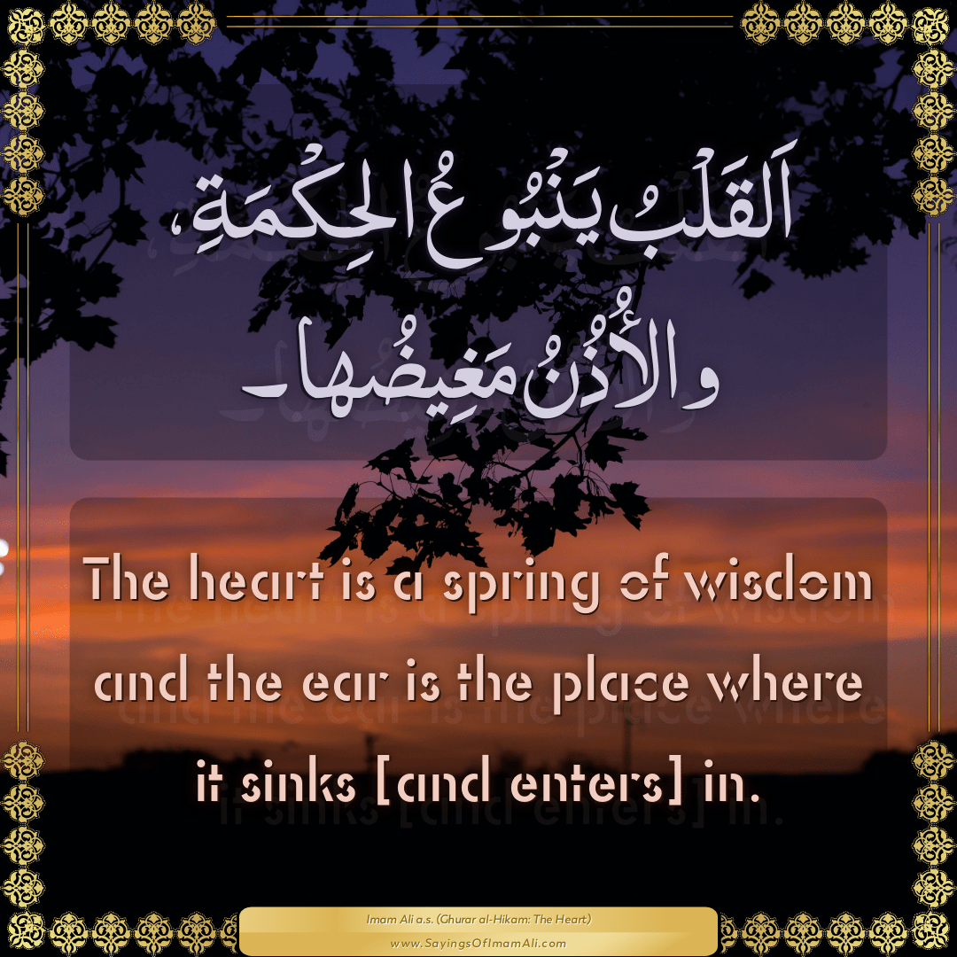 The heart is a spring of wisdom and the ear is the place where it sinks...